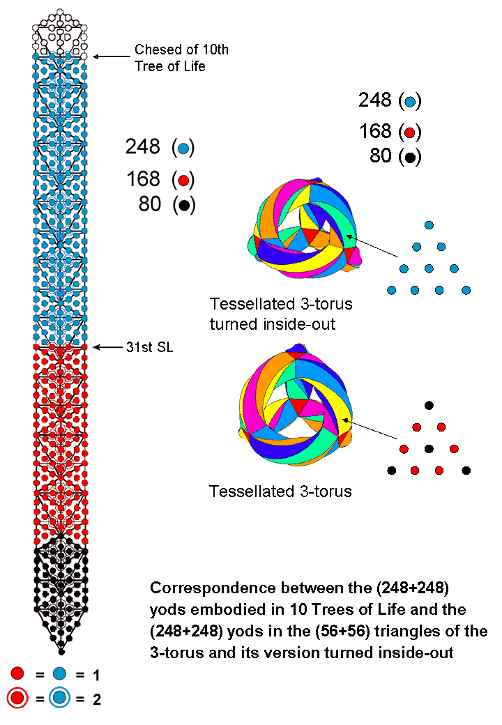 Correspondence between 10-tree & two 3-tori'