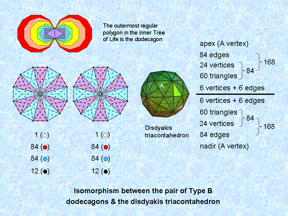 Correspondence between disdyakis triacontahedron & 2 Type B dodecagons