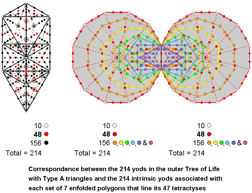 Correspondence between 214 yods in outer Tree and 214 intrinsic yods lining tetractyses in 7 enfolded polygons