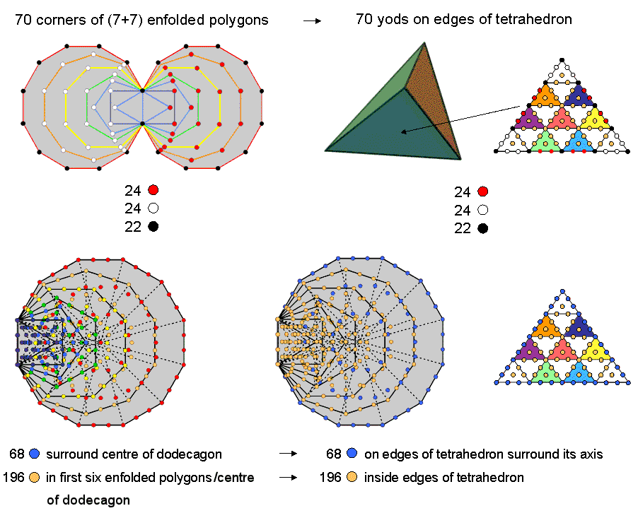 Correspondence between tetrahedron & inner Tree of Life