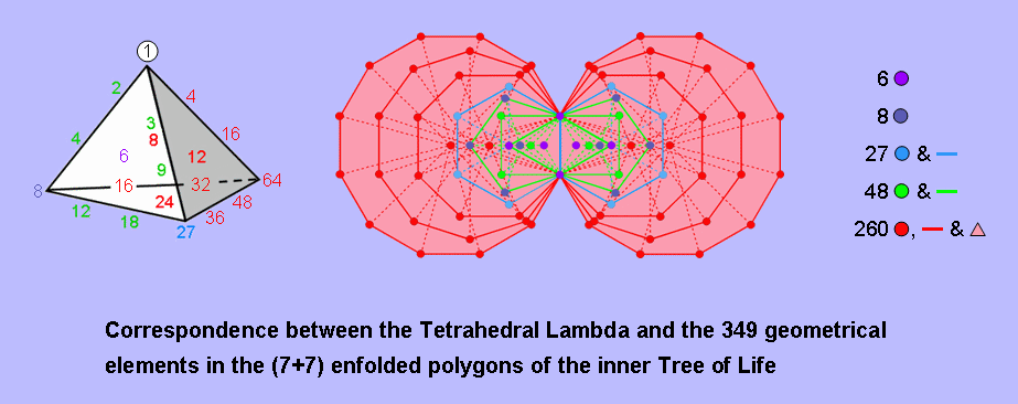 Correspondence between the Tetrahedral Lambda & the 349 geometrical elements in the inner Tree of Life