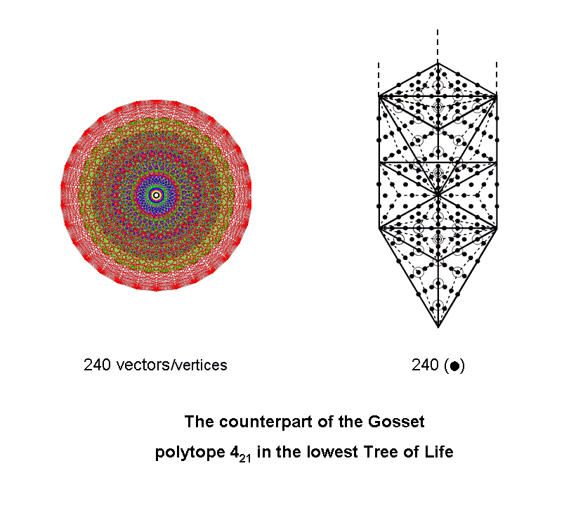 Counterpart of Gosset polytope 421 in lowest Tree of Life