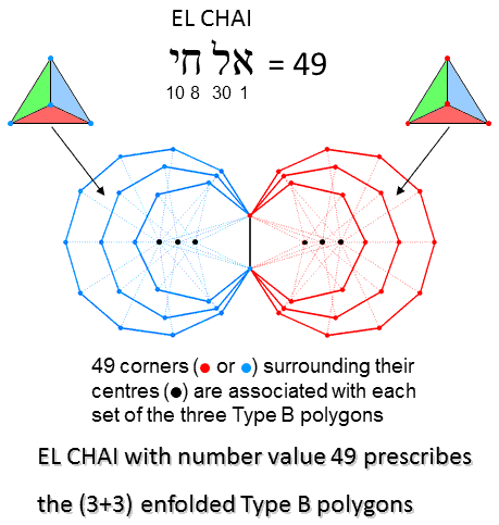 EL CHAI prescribes the (3+3) enfolded Type B polygons