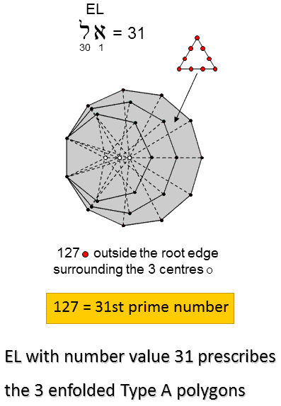 EL prescribes the 3 enfolded Type A polygons