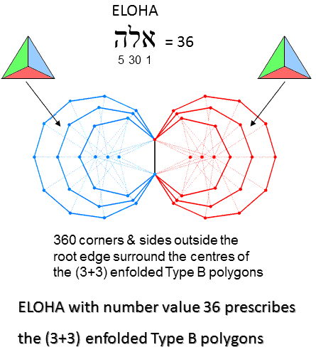 ELOHA prescribes the (3+3) enfolded Type B polygons