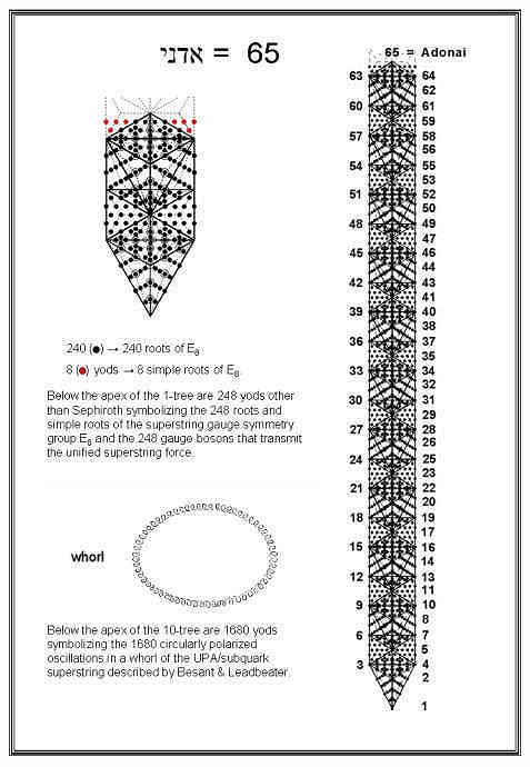 248 & 1680 encoded in 1-tree & 10-tree