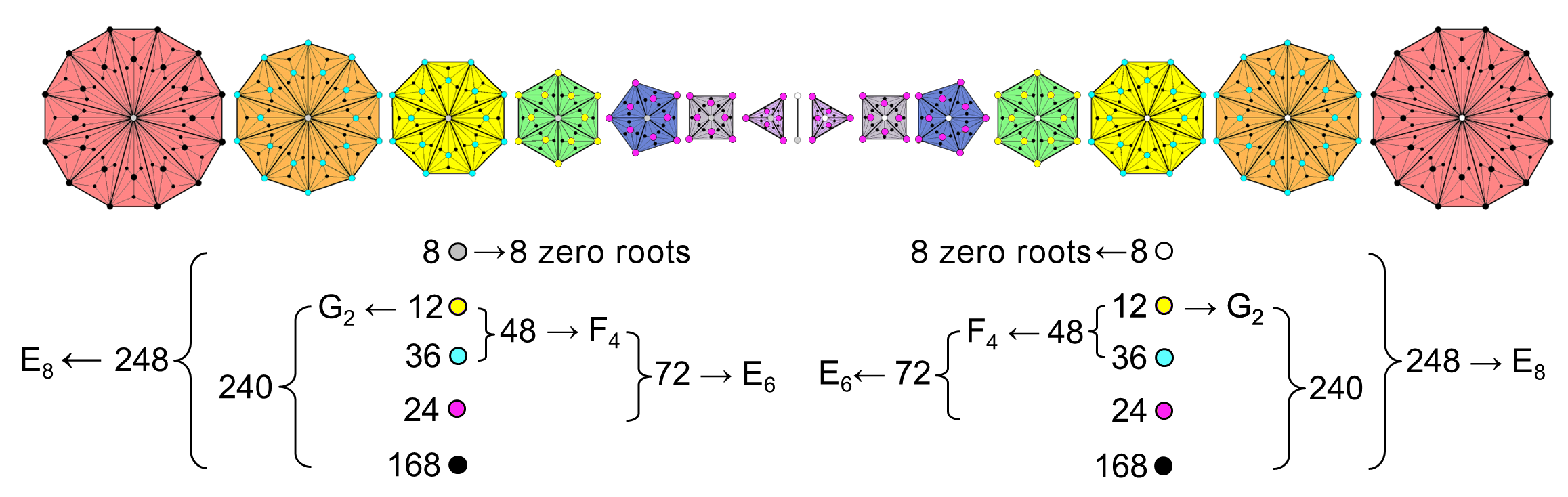 Exceptional subgroup patterns in 248+248 corners of 7+7 Type C polygons