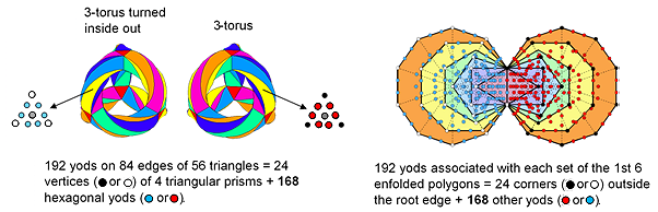 Correspondence between 1st (6+6) polygons and {3,7} tessellation on 3-torus