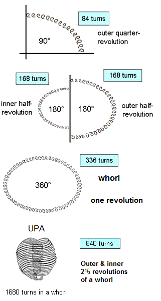 Structural parameters of the UPA