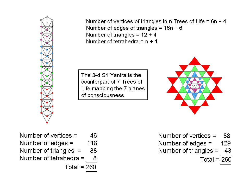 Geometrical correspondence between 7 TOLS & Sri Yantra