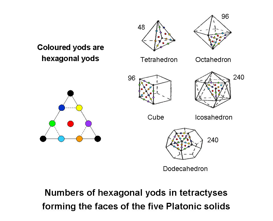 240 hexagonal yods in faces of icosahedron & dodecahedron