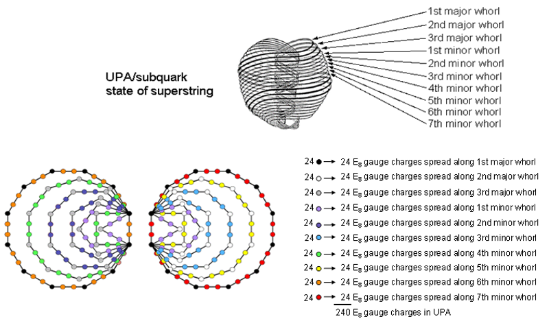 Inner Tree of Life basis of 10 sets of 24 E8 gauge charges in UPA