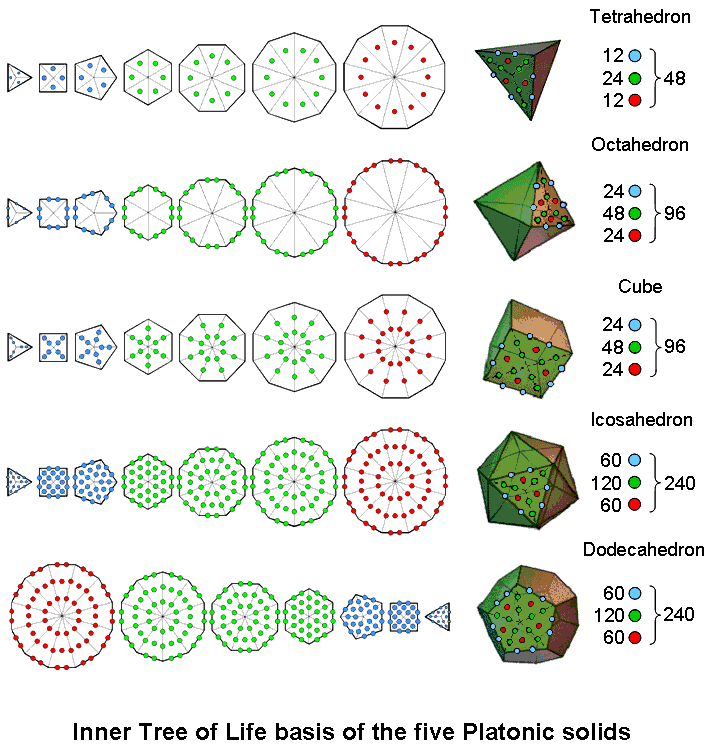 Inner Tree of Life basis of the 5 Platonic solids