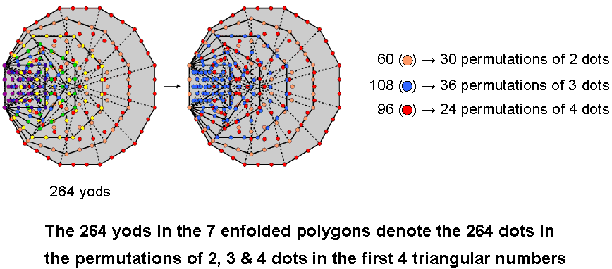 7 enfolded polygons have 264 yods