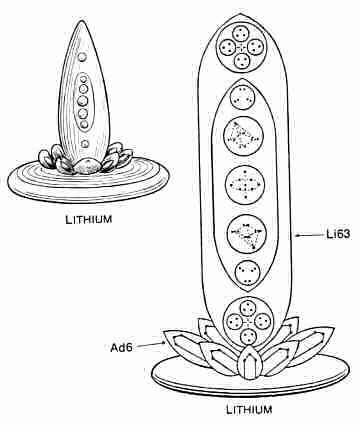 Lithium MPA