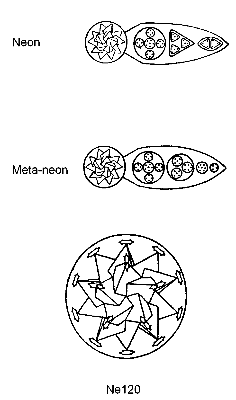 Neon MPA