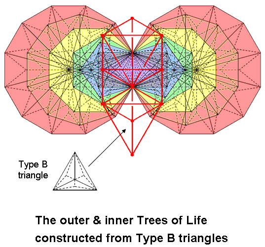 Outer & inner Trees of Life with Type B triangles