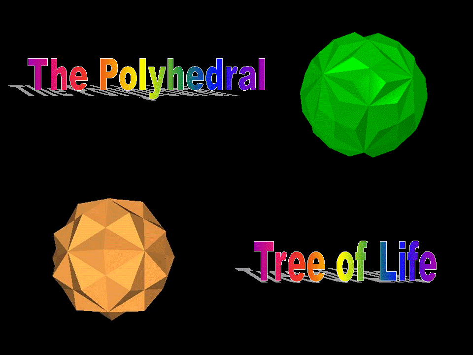 Polyhedral Tree of Life