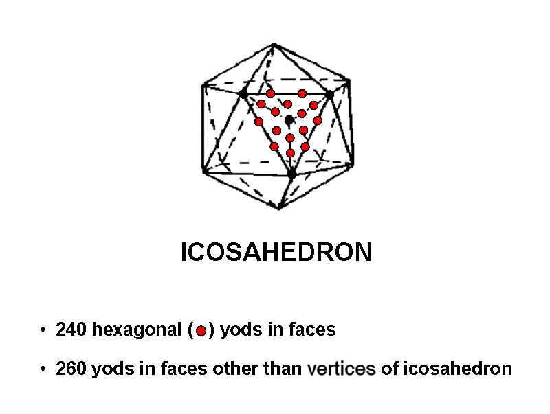 Properties of the icosahedron