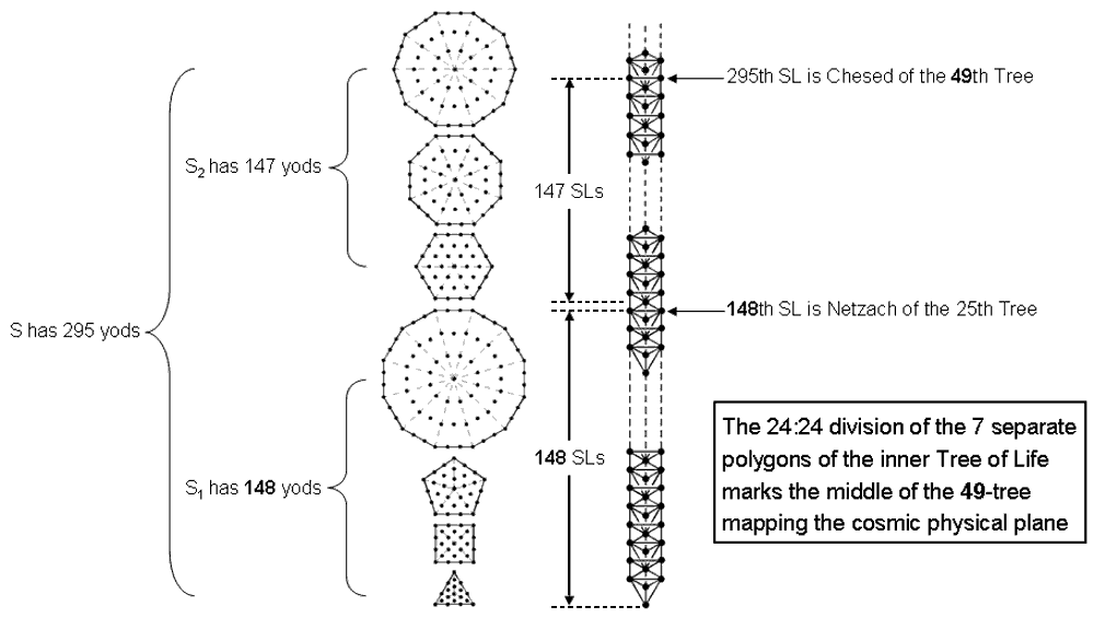 S1 and S2 correspond to two halves of 49-tree