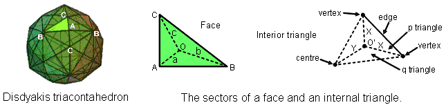 Sectors of faces and internal triangles of disdyakis triacontahedron