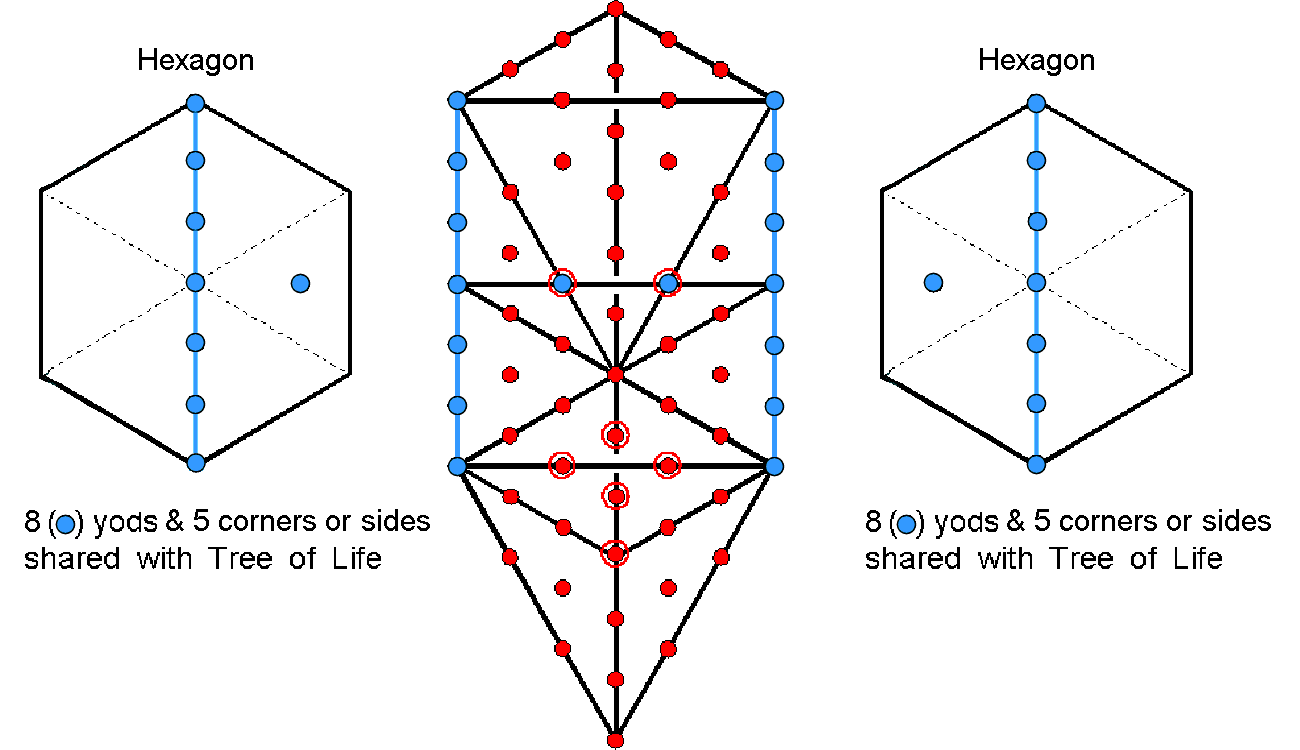 Yods and geometrical elements shared between outer and inner Trees of Life