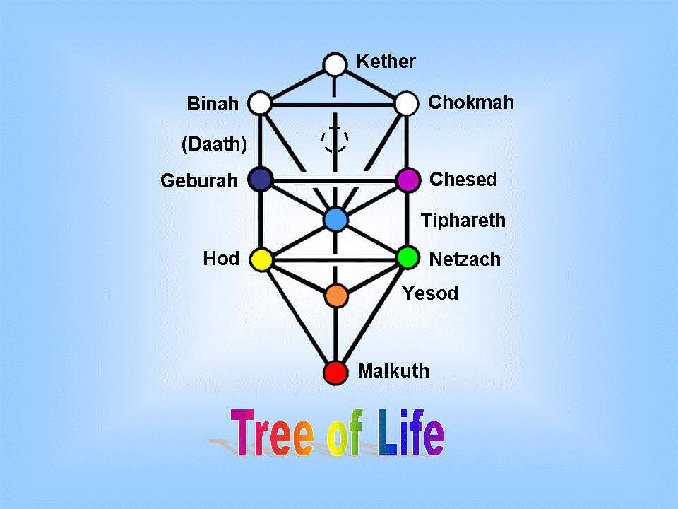 The Tree of Life