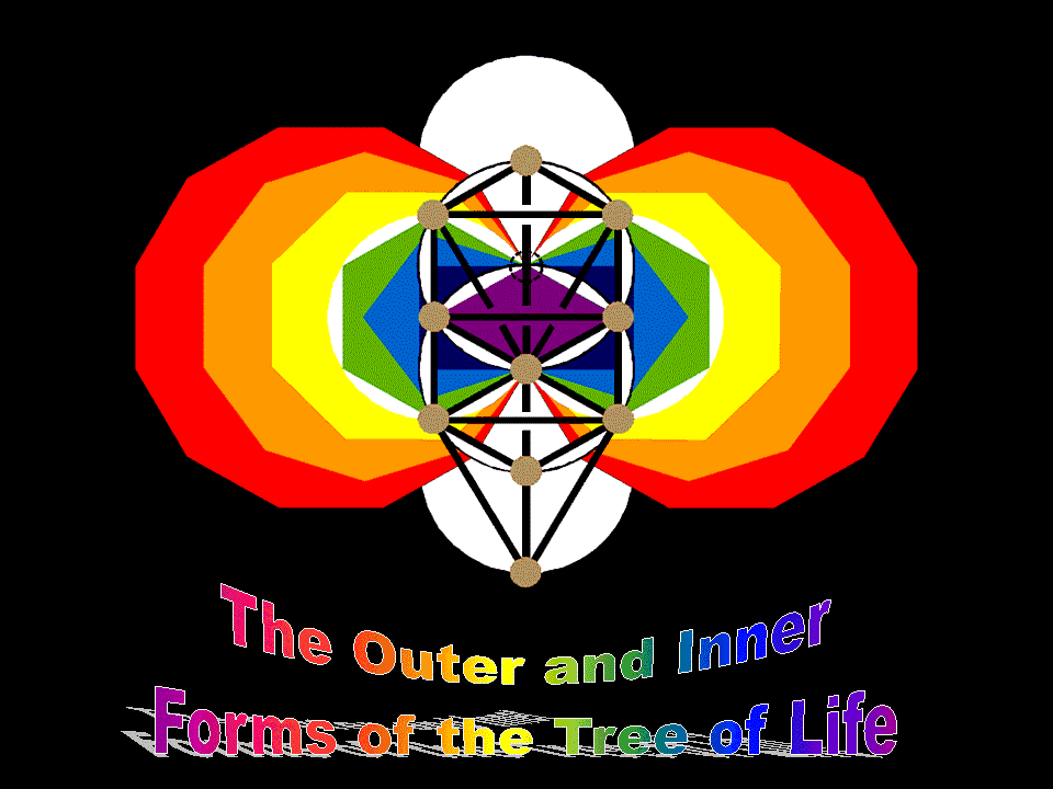 The outer & inner Trees of Life