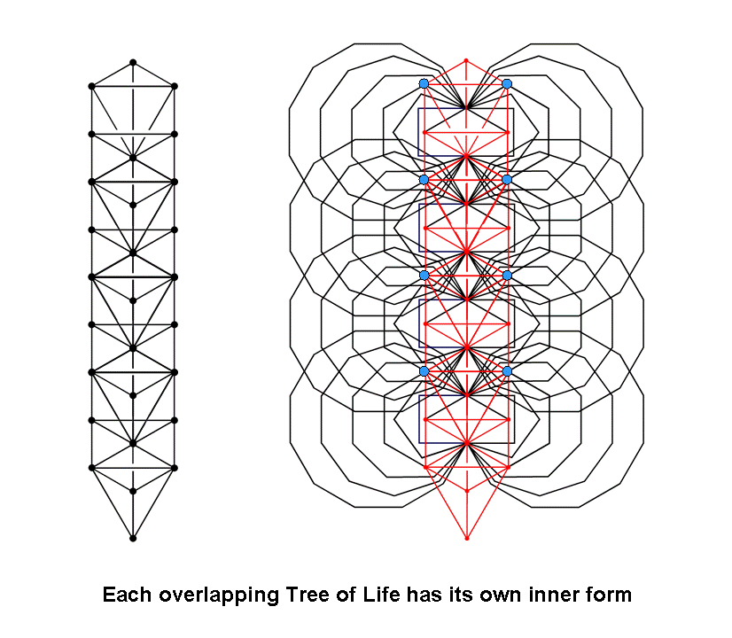 Inner forms of overlapping Trees of Life