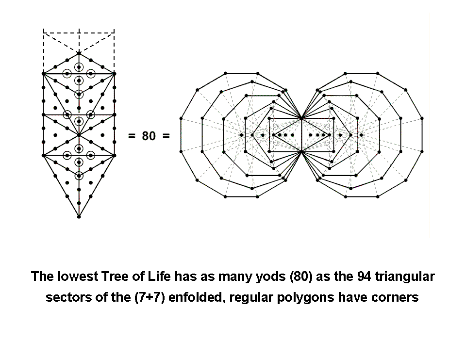 Inner Tree of Life counterpart of the lowest Tree