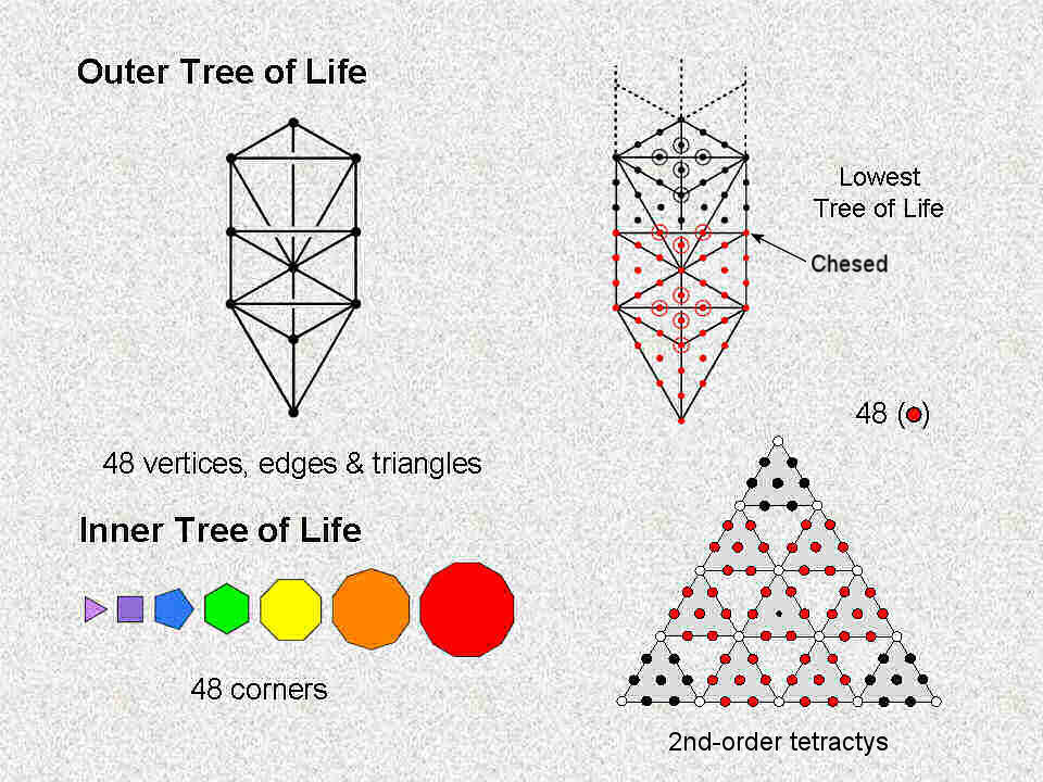 Examples of the holistic parameter 48