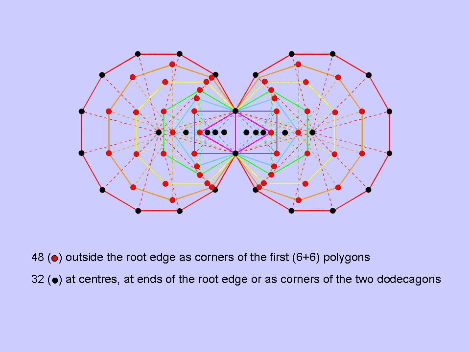The 48:32 division in the inner Tree of Life