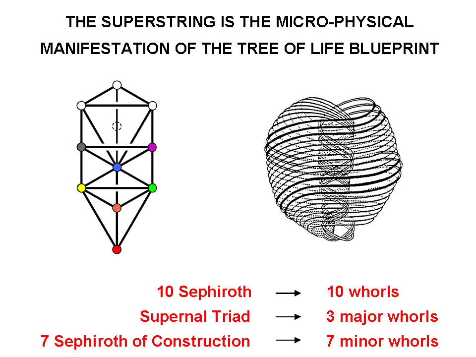 Subquark superstring as Tree of Life