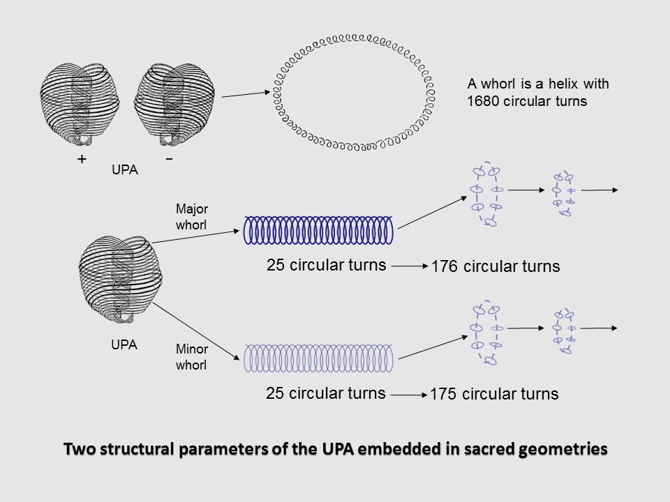 Sri Yantra embodies superstring structural parameter 176