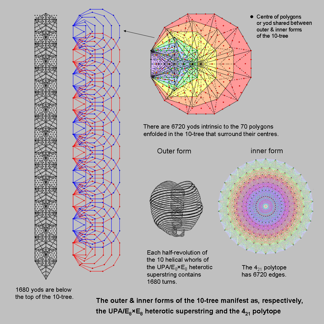 The UPA and 421 polytope as the outer and inner forms of 10 Trees of Life