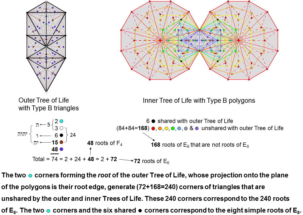 The outer & inner Trees of Life embody the 248 roots of E8