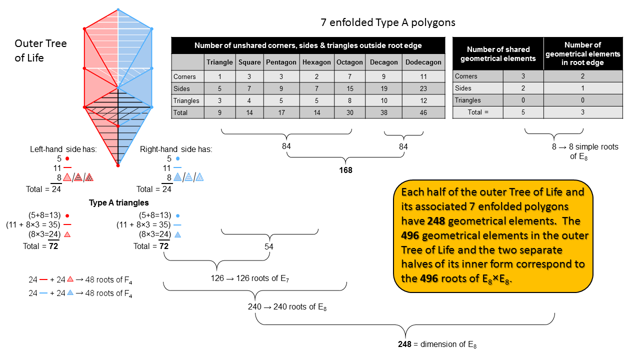 496 geometrical elements in outer & inner Trees of Life
