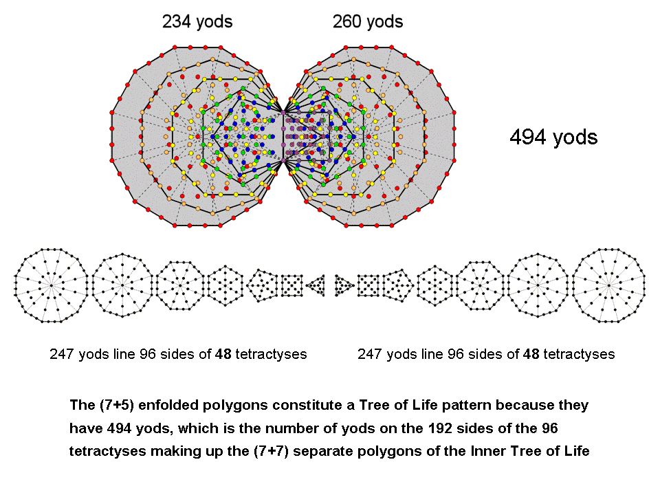 Tree of Life nature of 12 enfolded polygons