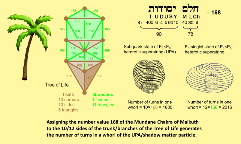 The 6:5 ratio in the outer Tree of Life and the two types of superstrings