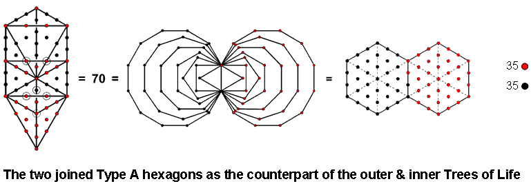 Two joined Type A hexagons as the counterpart of the outer & inner Trees of Life