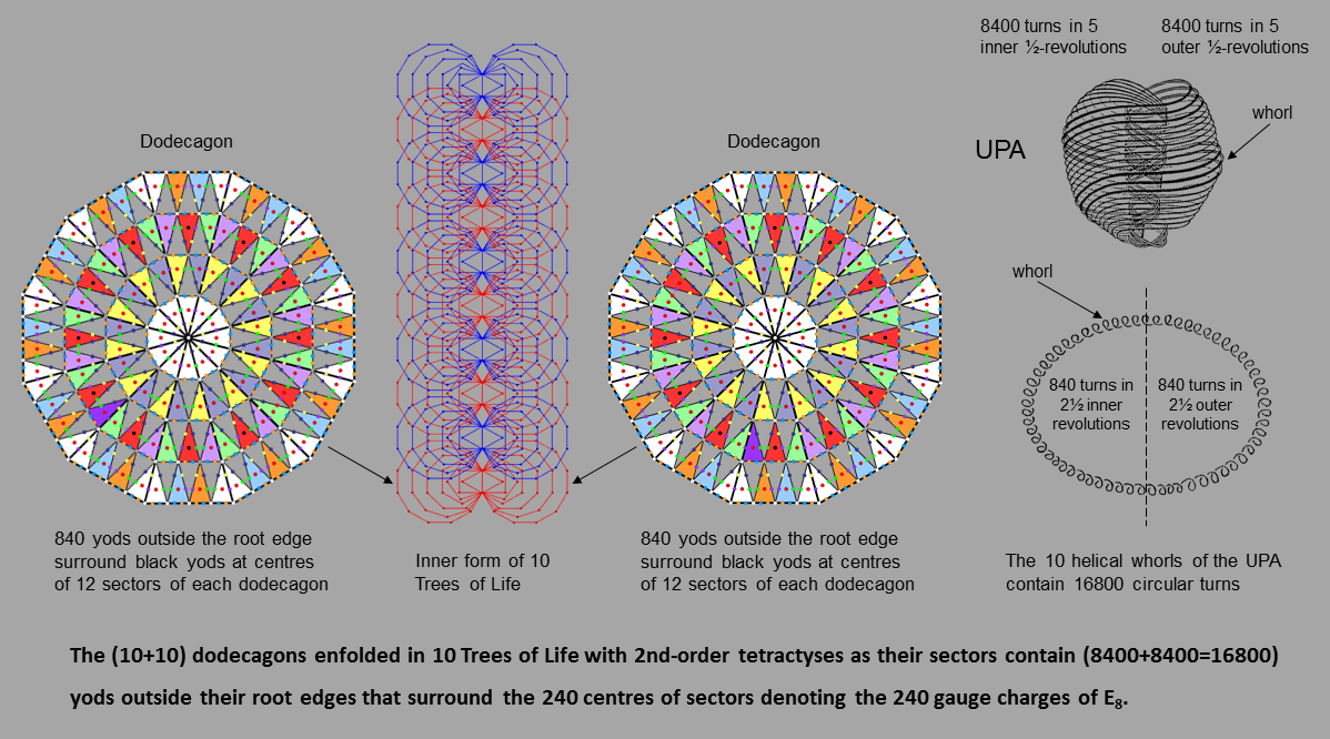 Dodecagons enfolded in 10 Trees of Life embody UPA structural parameter 16800