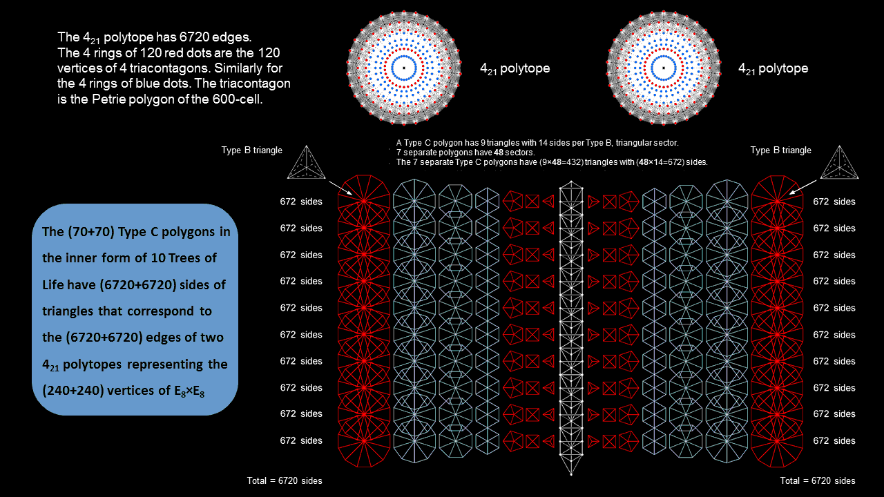 The two halves of the inner form of 10 Trees of Life represent two E8 groups