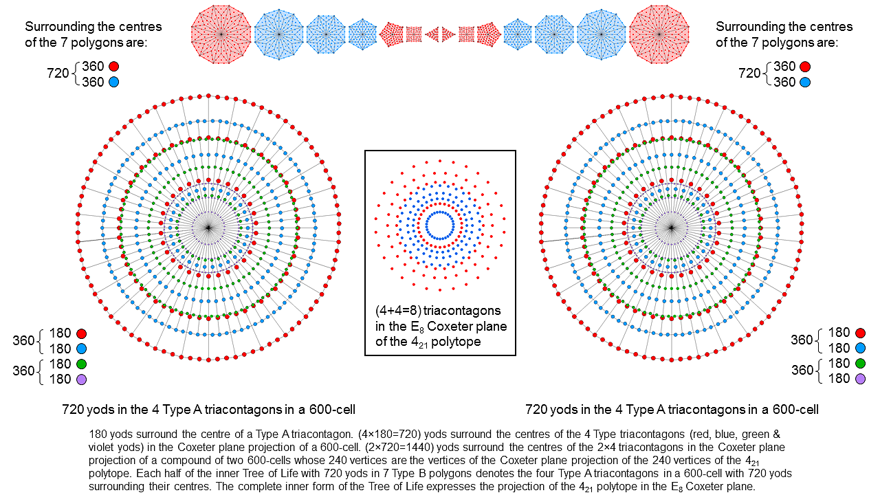 The yod population of the 8 Type A triacontagons matches that of the (7+7) Type B polygons in the inner Tree of Life