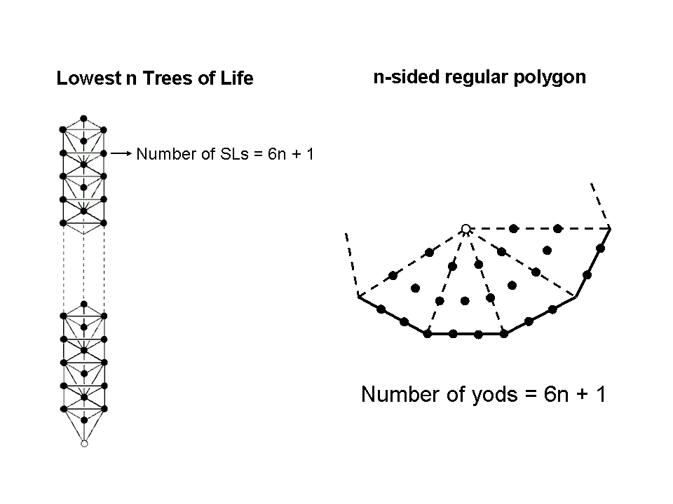 Equivalence of n-gon & n Trees of Life