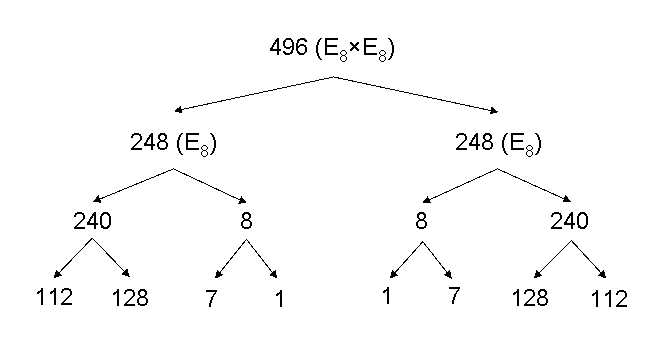 root composition of E8xE8