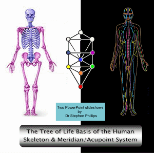Human skeleton and acupoints-meridians